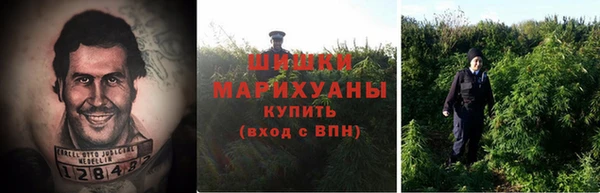 стаф Вязники