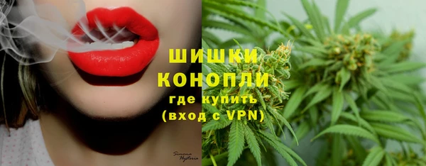 хмурый Вяземский