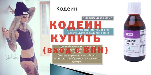 хмурый Вяземский