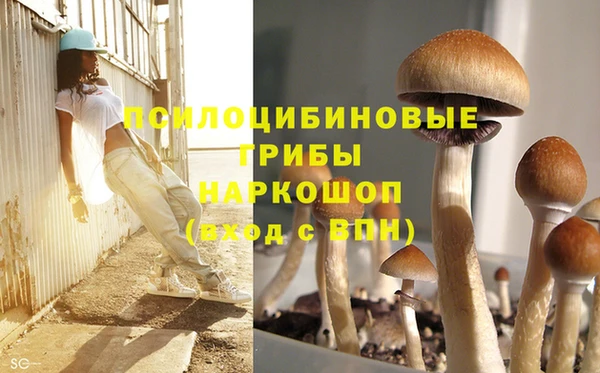 хмурый Вяземский