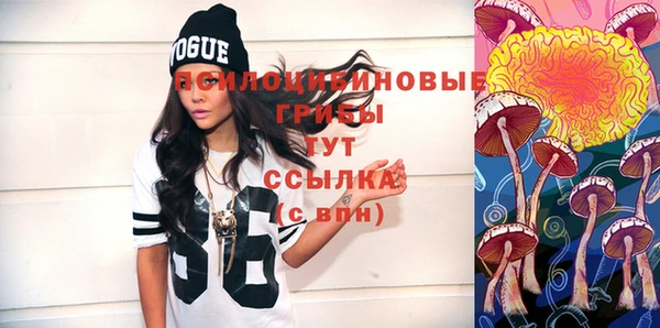 стаф Вязники