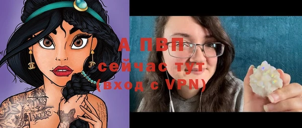 хмурый Вяземский