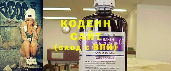 хмурый Вяземский