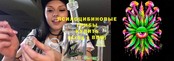 хмурый Вяземский