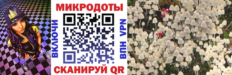 Псилоцибиновые грибы GOLDEN TEACHER  Купить  Кудымкар 